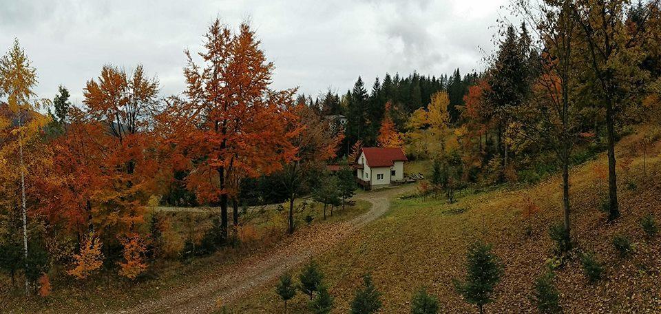 Soaptele Padurii & Casuta Din Padure Sucevita Dış mekan fotoğraf